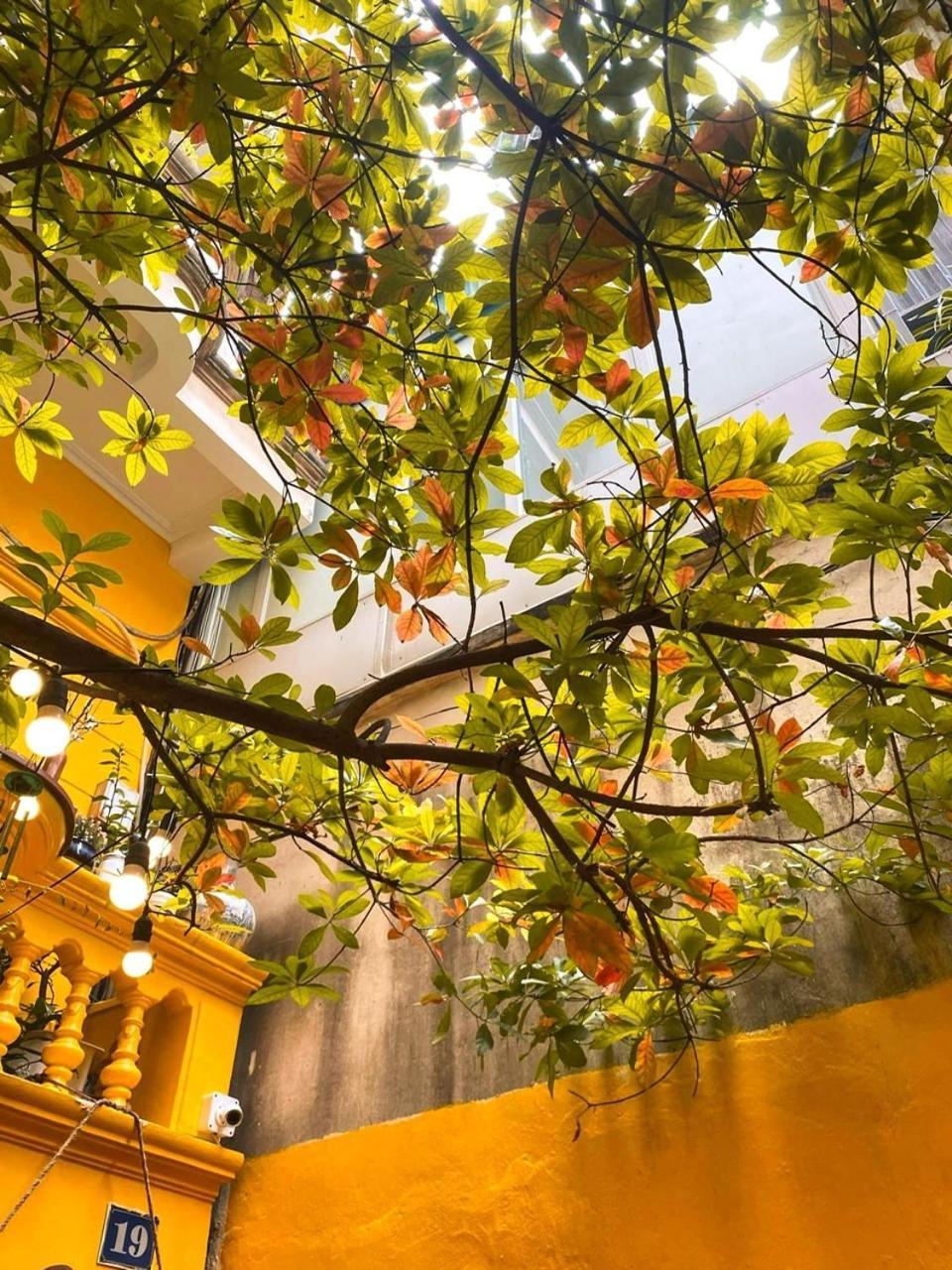 Morri Homestay - Quan Thanh 하노이 외부 사진